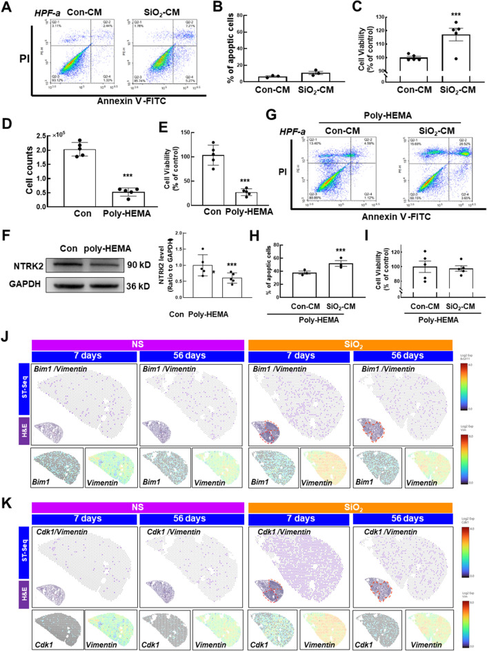 Protein Detection Kit