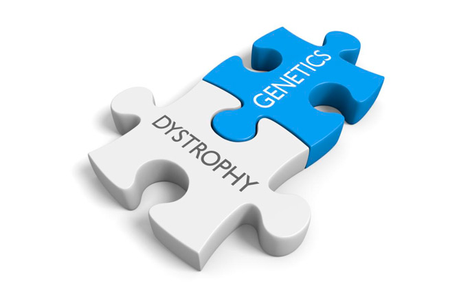 DMD (Duchenne muscular dystrophy)/ BMD (Baker muscular dystrophy) Genetic Detection