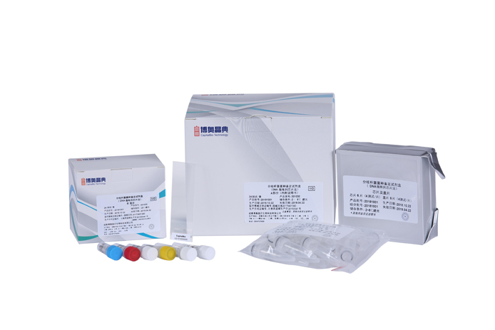 mycobacteria species identification