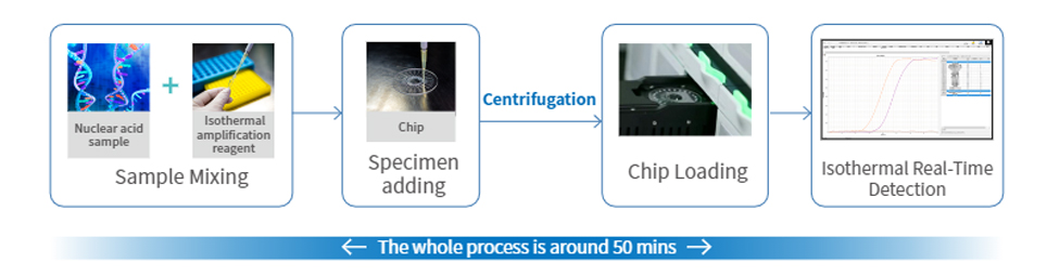 Workflow of Respiratory Pathogens Nucleic Acid Detection