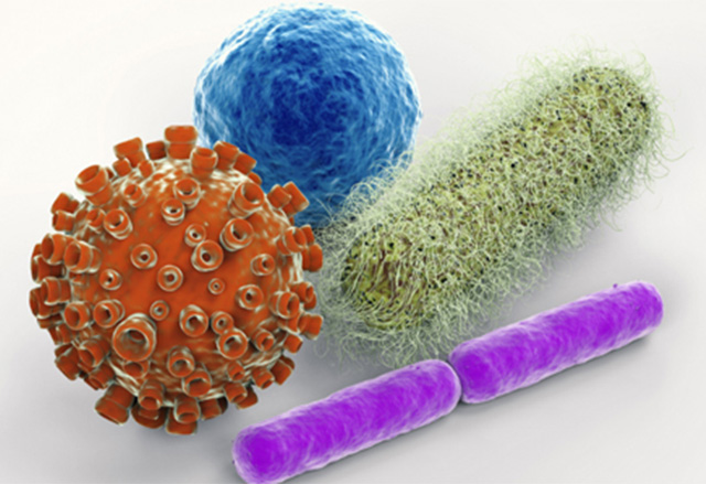 Shotgun Metagenomics Sequencing