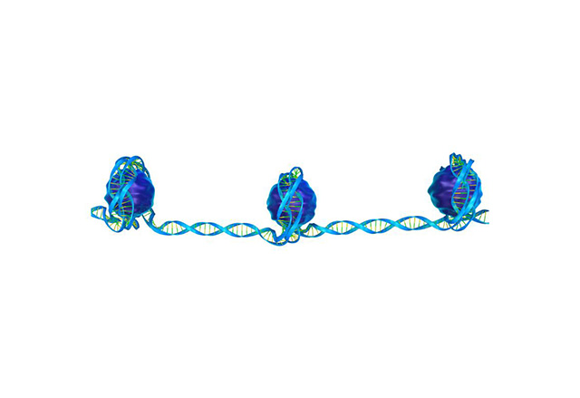 single cell atac sequencing