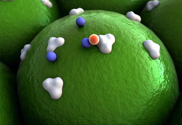 single cell gene expression with cell surface protein