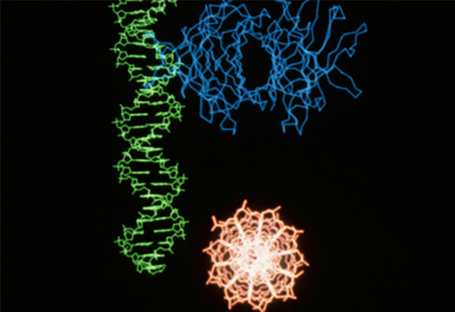 Small RNA Sequencing