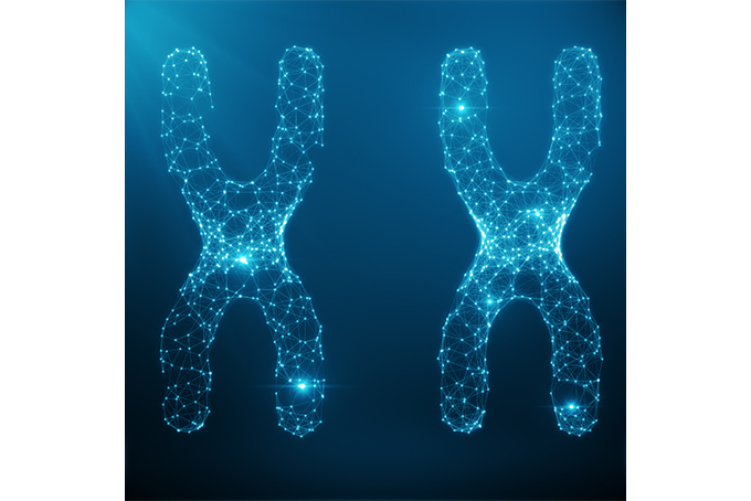 Karyotype Analysis