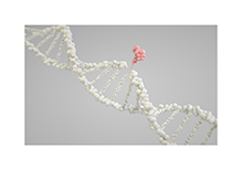 Karyotype Analysis