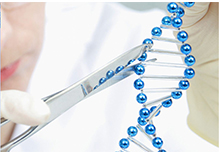 Whole Exome Sequencing WES