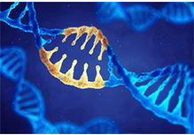 Methylation Detection