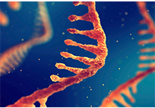 Whole Transcriptome Sequencing