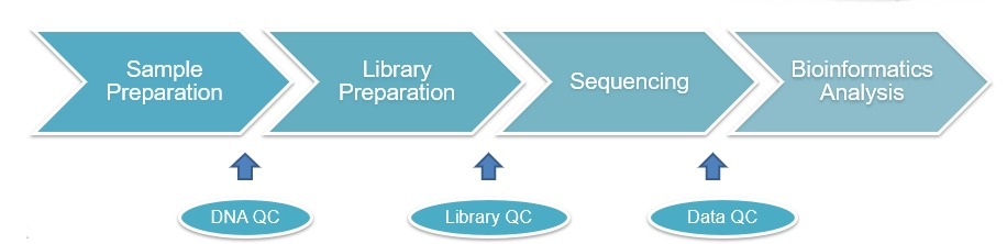 human whole genome sequencing