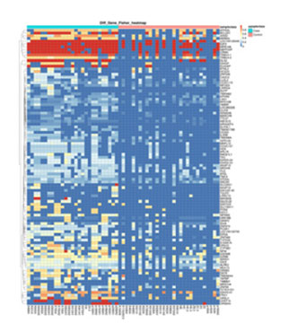 Heat-map-of-Differential-Gene-Cluster.jpg