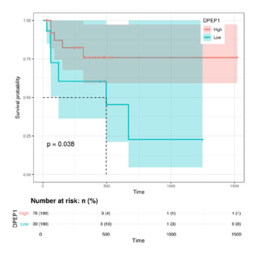 TCGA-Survival-Analysis.jpg