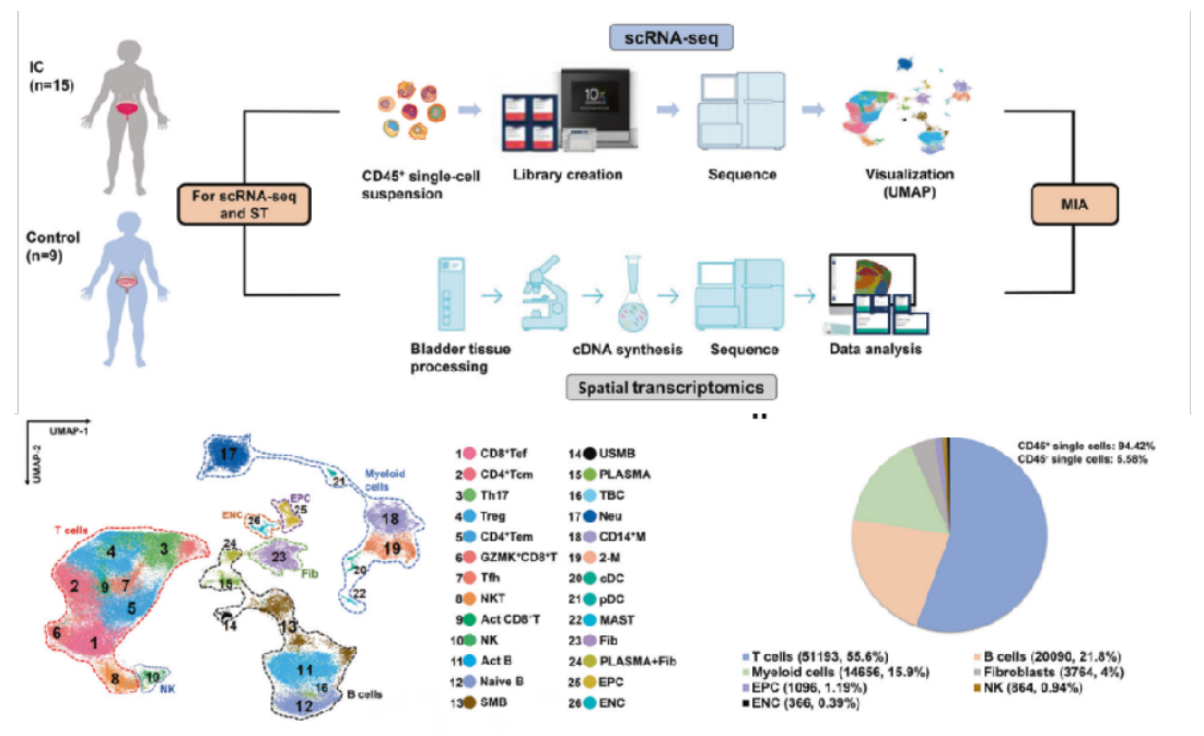 Figure_1._Workflow_and_IC_Bladder_Immunogram.png