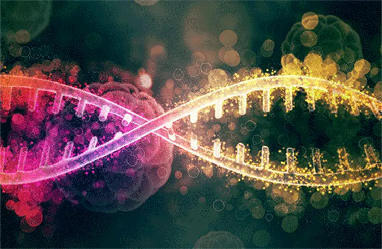 850K Methylation Microarray